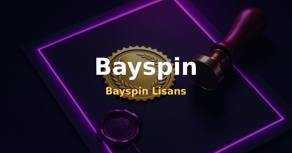 Bayspin Lisans - Bayspin